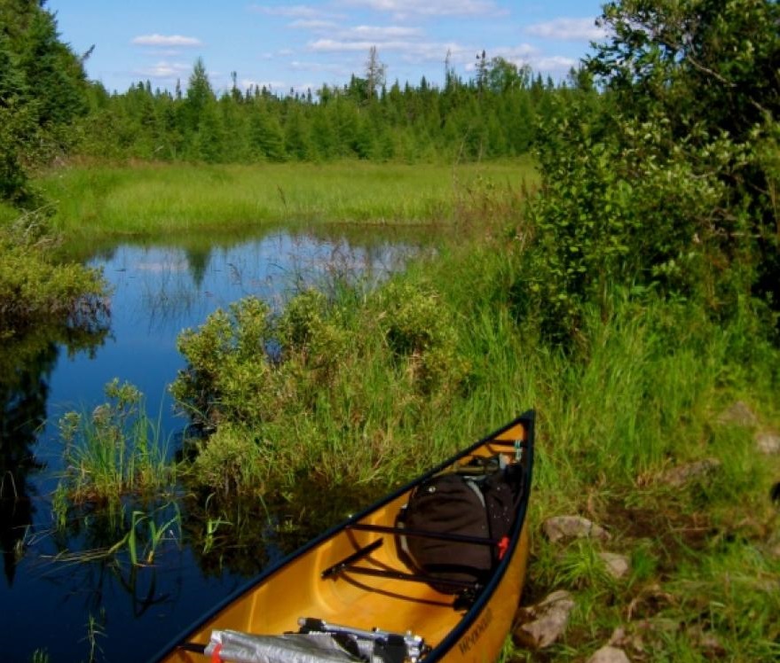 The House's environment and natural resources committee heard a bill March 11 that would prohibit the proposed sale of state school trust lands inside the Boundary Water Canoe Area Wilderness to the federal government. (Image courtesy U.S. Forest Service)